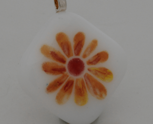A Wee Brightness Orange Daisy On White